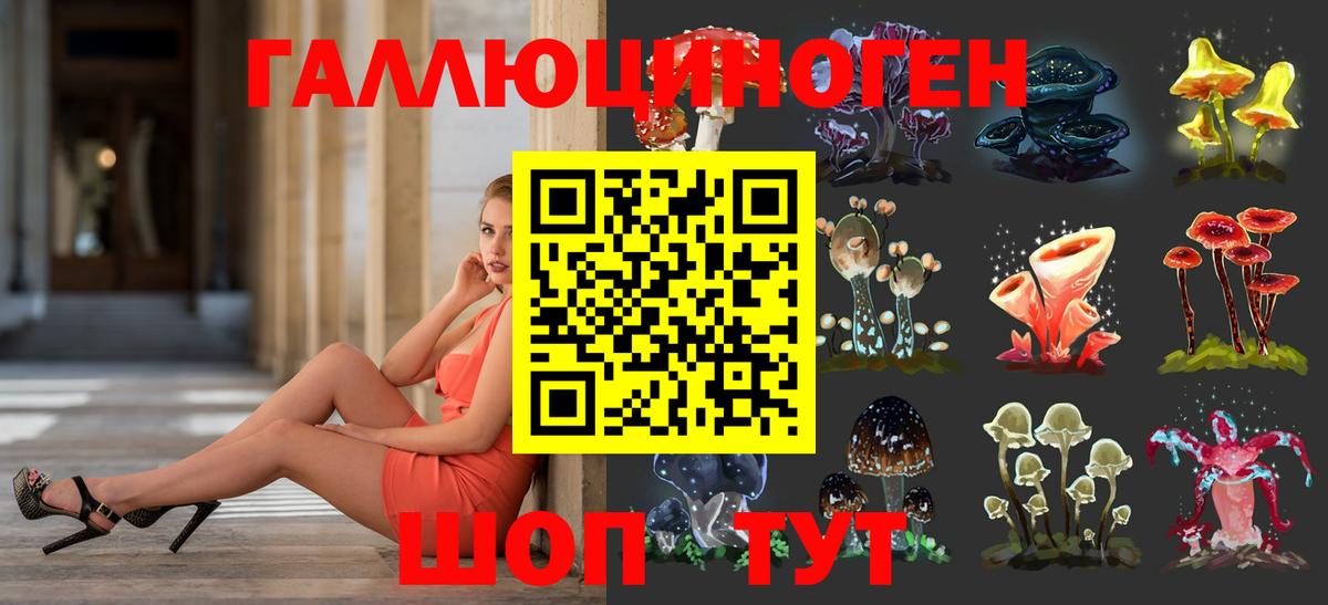 Элиста  Псилоцибиновые грибы Psilocybe  Вход с VPN 