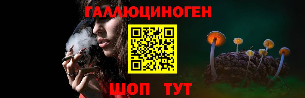 Галлюциногенные грибы прущие грибы Элиста